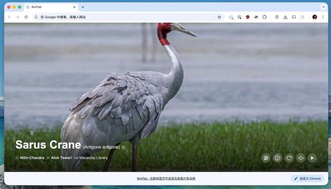 TimeDay倒数插件_chrome扩展安装_浏览器扩展推荐