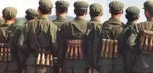 经常看影视剧里用手榴弹反坦克，实战中真的可以这样吗？