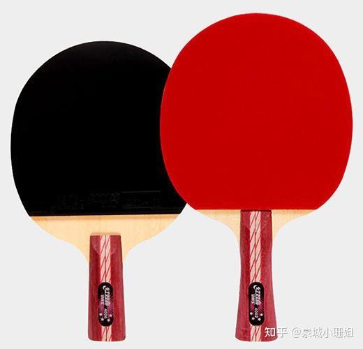 2026年乒乓球拍推荐+选购指南，乒乓球拍怎么选？横拍or直拍？DIY还是成品拍？