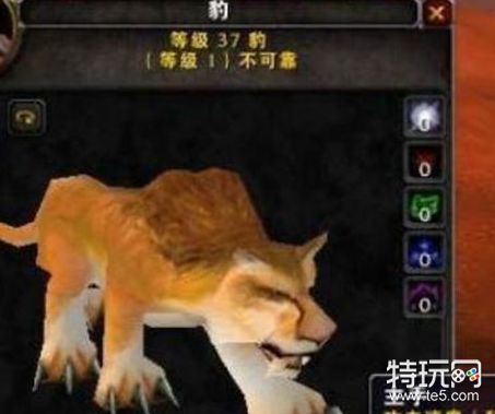 魔兽世界猎人狼宝宝大全_魔兽世界猎人宠物推荐扫荡者修玛断牙猪王格朗特拉克西里鲁伯斯_魔兽世界猎人必抓宝宝大全攻略