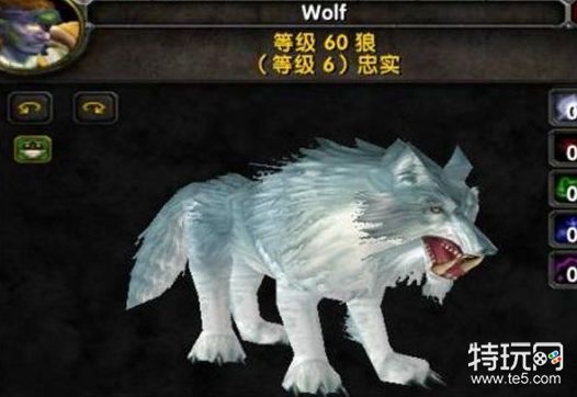 魔兽世界猎人必抓宝宝大全攻略_魔兽世界猎人宠物推荐扫荡者修玛断牙猪王格朗特拉克西里鲁伯斯_魔兽世界猎人狼宝宝大全