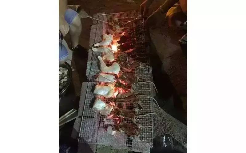 这只被端上餐桌的中华白海豚,让“吃货”这个词浸满了鲜血
