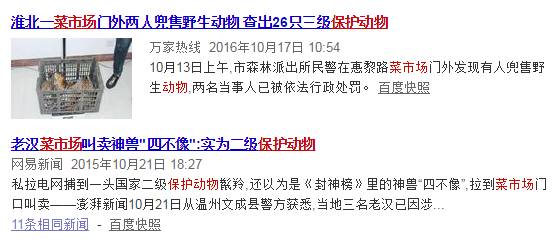 这只被端上餐桌的中华白海豚,让“吃货”这个词浸满了鲜血