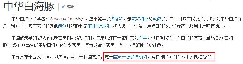 这只被端上餐桌的中华白海豚,让“吃货”这个词浸满了鲜血