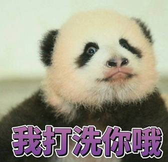 这只被端上餐桌的中华白海豚,让“吃货”这个词浸满了鲜血