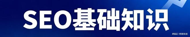 上海俐麸信息科技：专业SEO优化服务助力网站流量提升