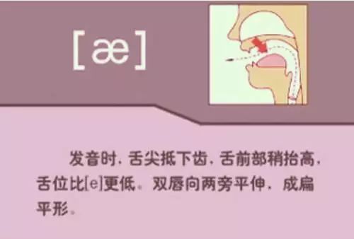 26个字母书写规范_26个字母_字母笔顺规则