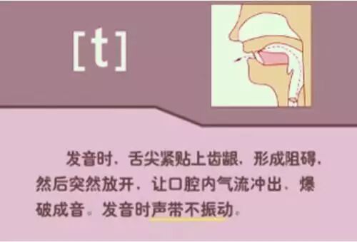 26个字母书写规范_26个字母_字母笔顺规则