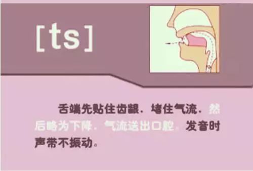 字母笔顺规则_26个字母书写规范_26个字母