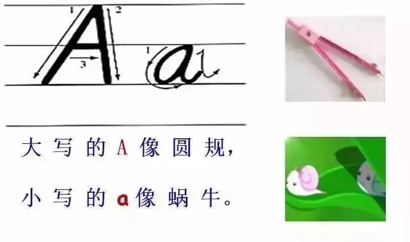 26个英文字母书写规范_26个字母_26个字母发音歌谣