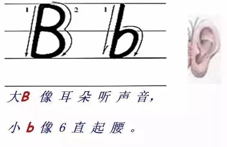 26个字母发音歌谣_26个字母_26个英文字母书写规范