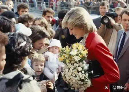 经典国外美女戴安娜_戴安娜王室生活经历_戴安娜与查尔斯婚姻悲剧