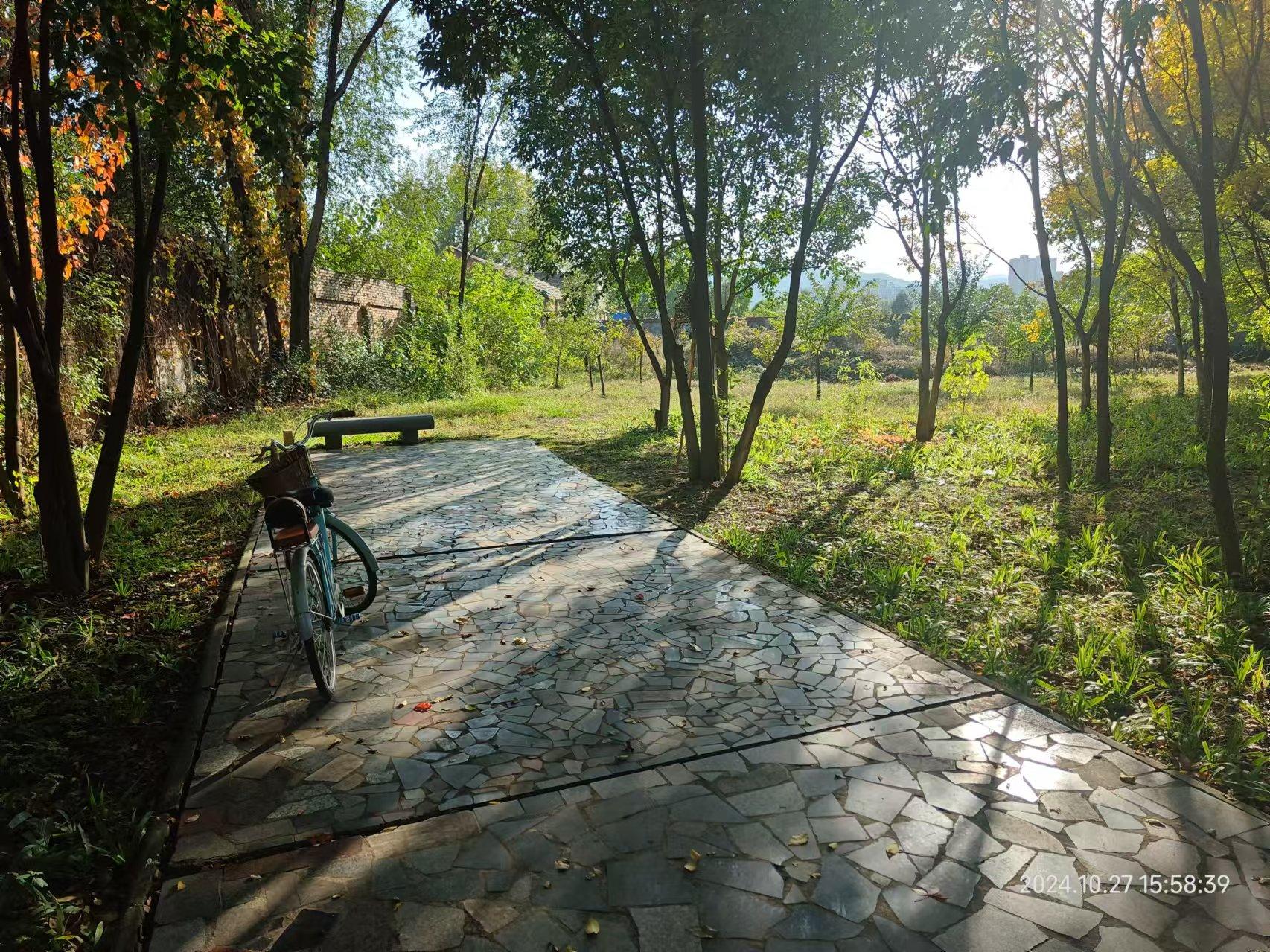 弹弓推荐及新手入坑经验