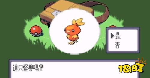 口袋妖怪蓝宝石最新手机版