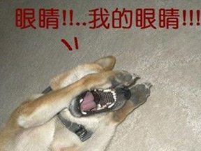 精品手游推荐：简约到极致的塔防手游—《方圆之战》