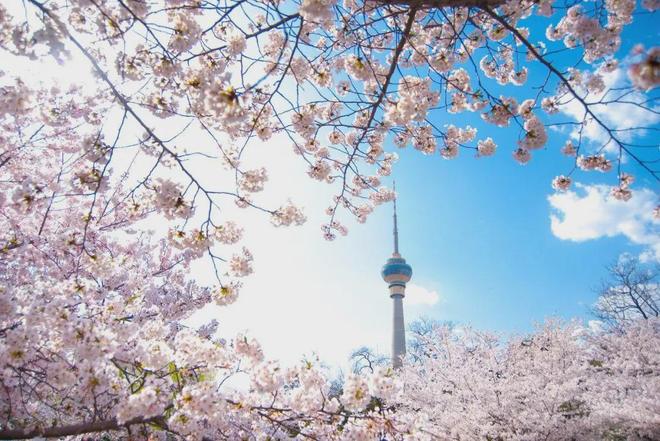 有缘好好珍惜，缘分尽了，就不要太过执着