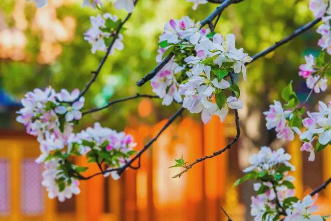 健康养生_人生哲理_经一事，长一智