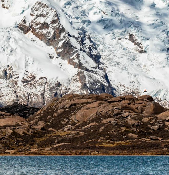 经一事，长一智_人生哲理_健康养生