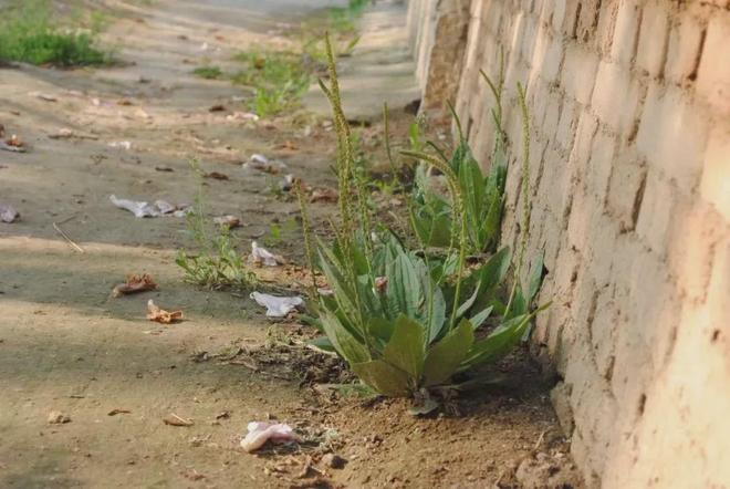 健康养生_人生哲理_经一事，长一智