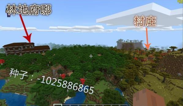 我的世界什么种子出生在村庄