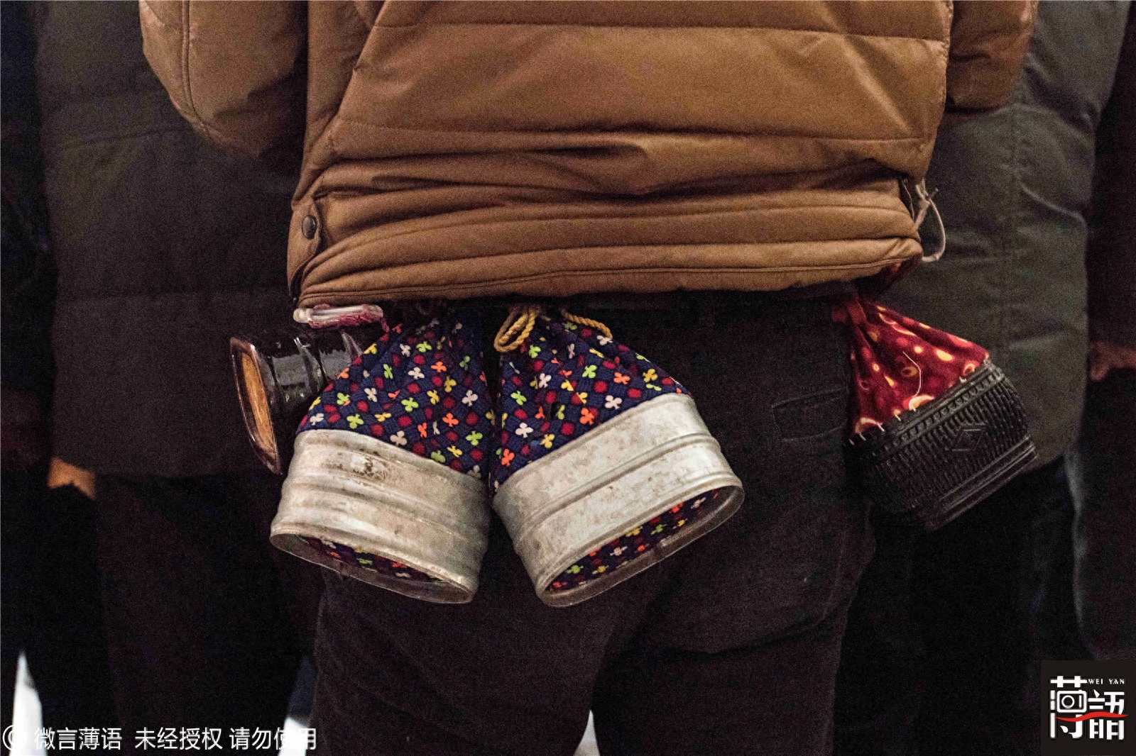 原来鹌鹑也可以斗：输的只能做主人下酒菜