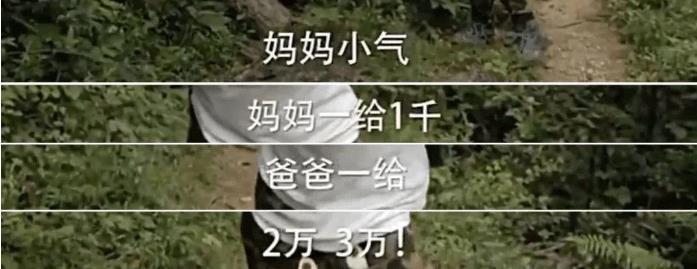 从豪门富太到带货还债,她终究没能躺平到底