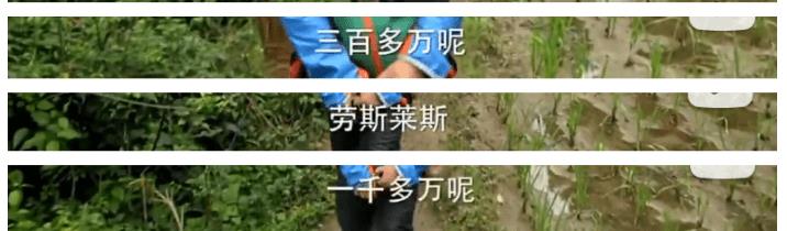 从豪门富太到带货还债,她终究没能躺平到底