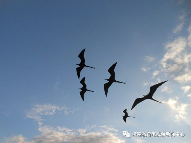 文稿干货丨人物专访的9个提问技巧