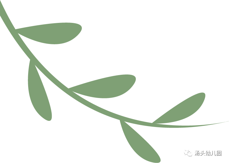 【刘幼动态·园本课程】《趣味沙包》—大一班园本课程