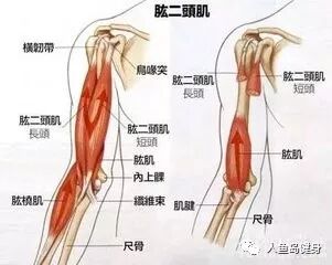 打沙包技巧方法_沙包游戏规则图片设计_打沙包游戏规则