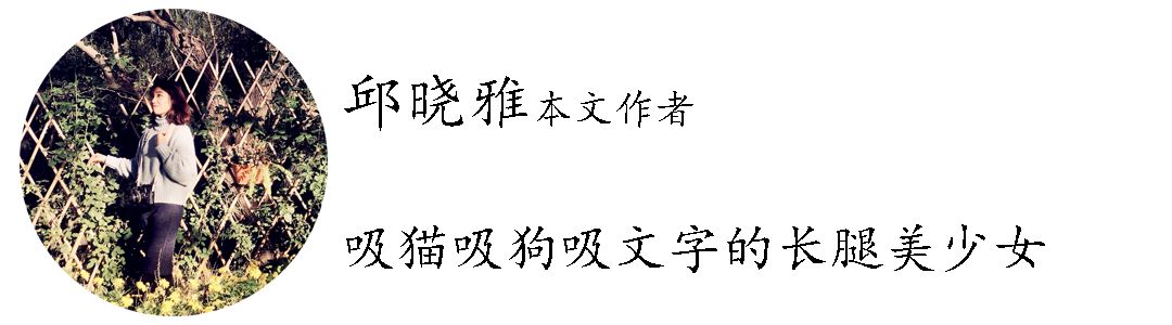 被围剿、被约谈，估值300亿美金的今日头条如何应对危机