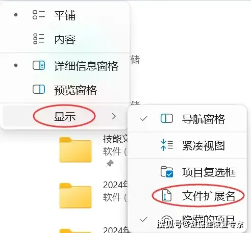 电脑上的扩展名怎么显示出来_显示文件后缀名 Windows 11_显示文件后缀名 Windows 10
