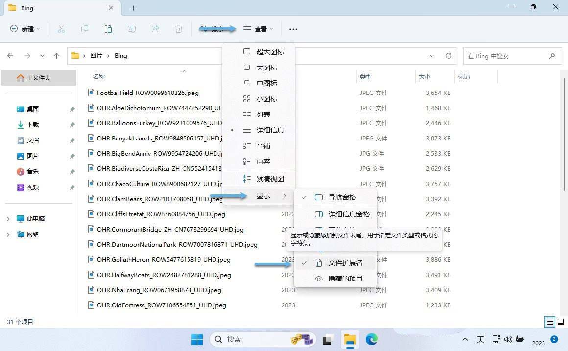 Windows 11 文件后缀名设置_电脑上的扩展名怎么显示出来_Windows 11 显示文件扩展名方法