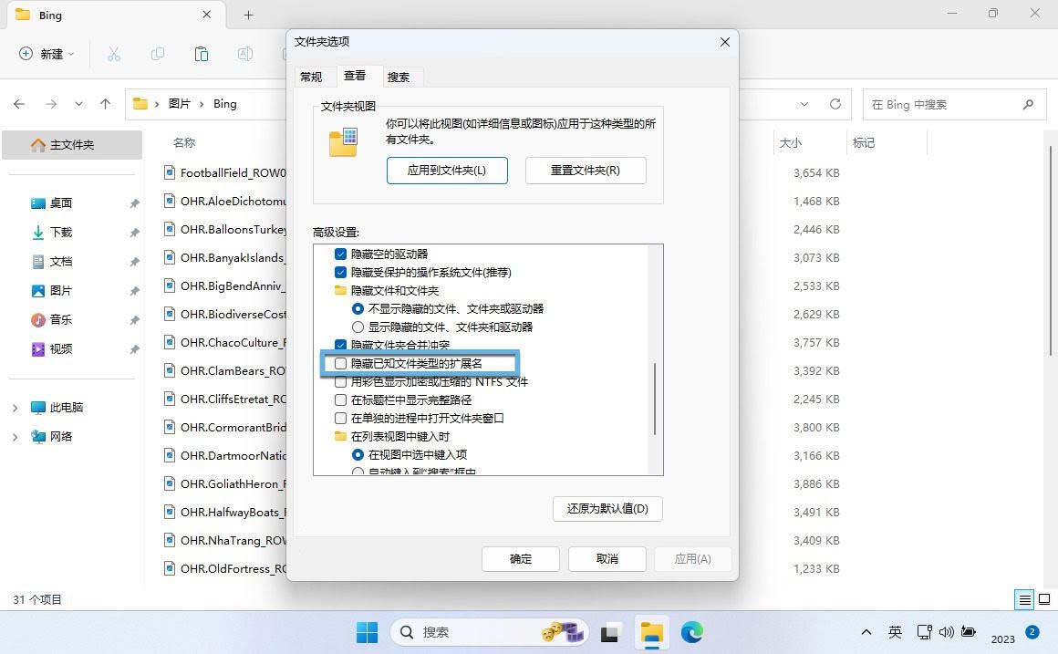Windows 11 文件后缀名设置_Windows 11 显示文件扩展名方法_电脑上的扩展名怎么显示出来