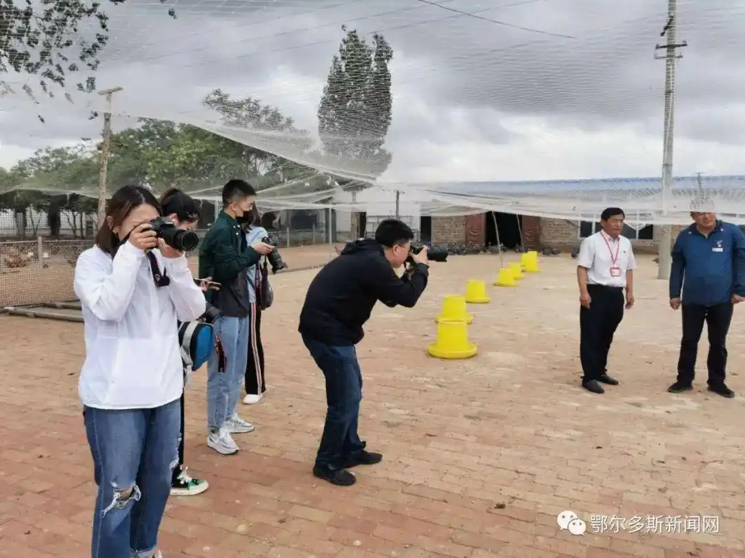 因为这件事，人民网、新华网、中国新闻网的记者都来鄂尔多斯了！