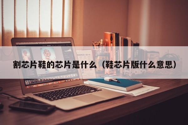割芯片鞋的芯片是什么（鞋芯片版什么意思）