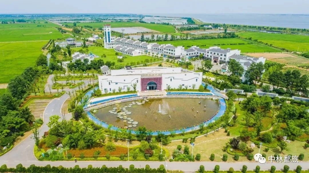 吃西瓜大赛规则_趣味吃西瓜比赛规则_吃西瓜比赛游戏规则