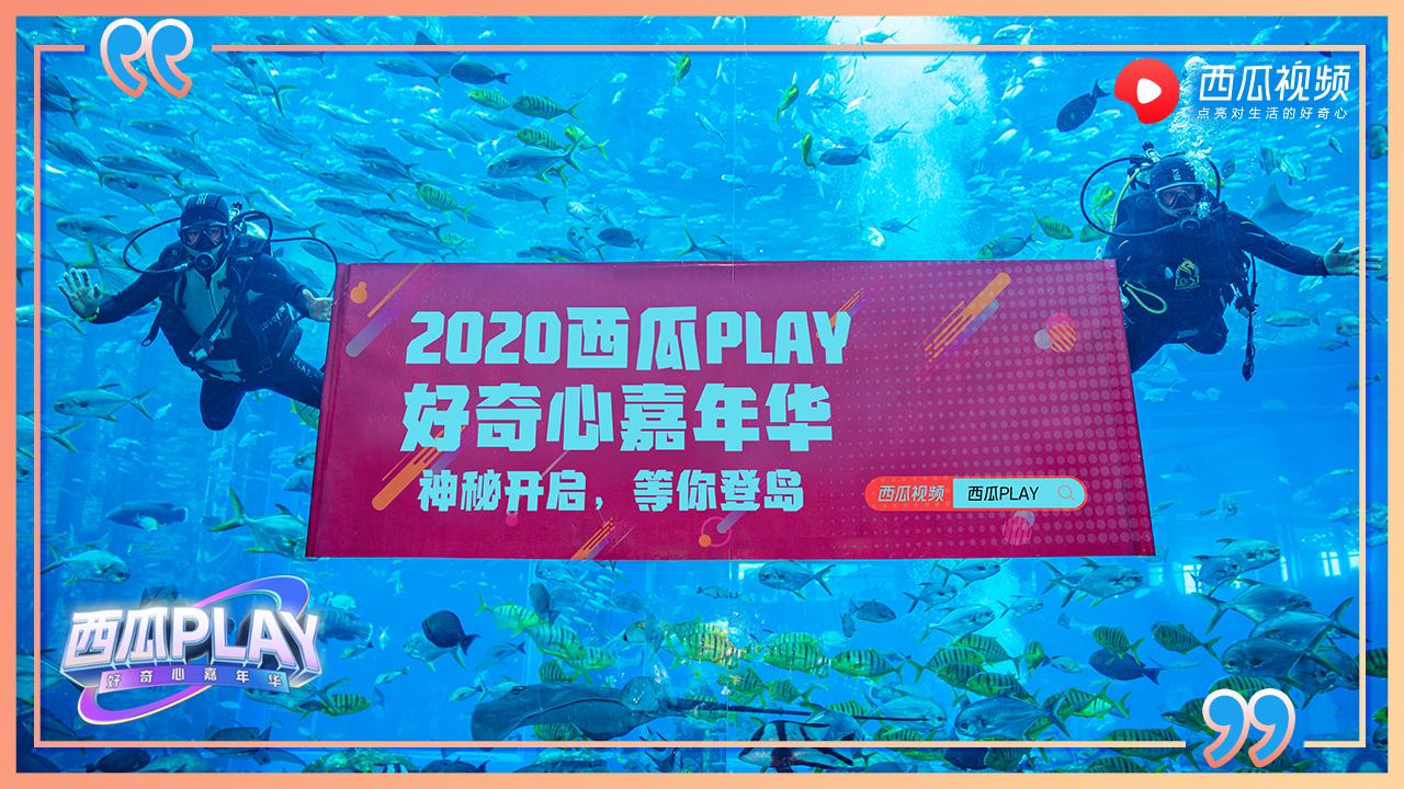 2020西瓜PLAY好奇心嘉年华——视频赛区参赛规则