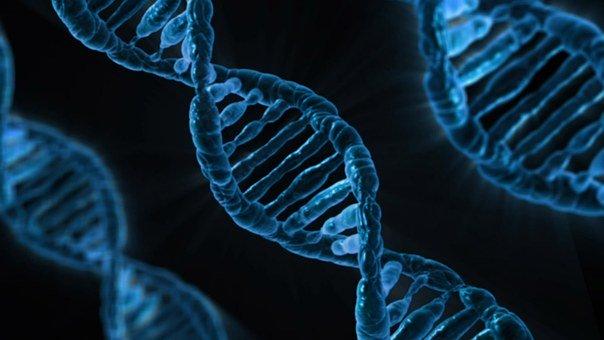 二、生物学的产生和发展