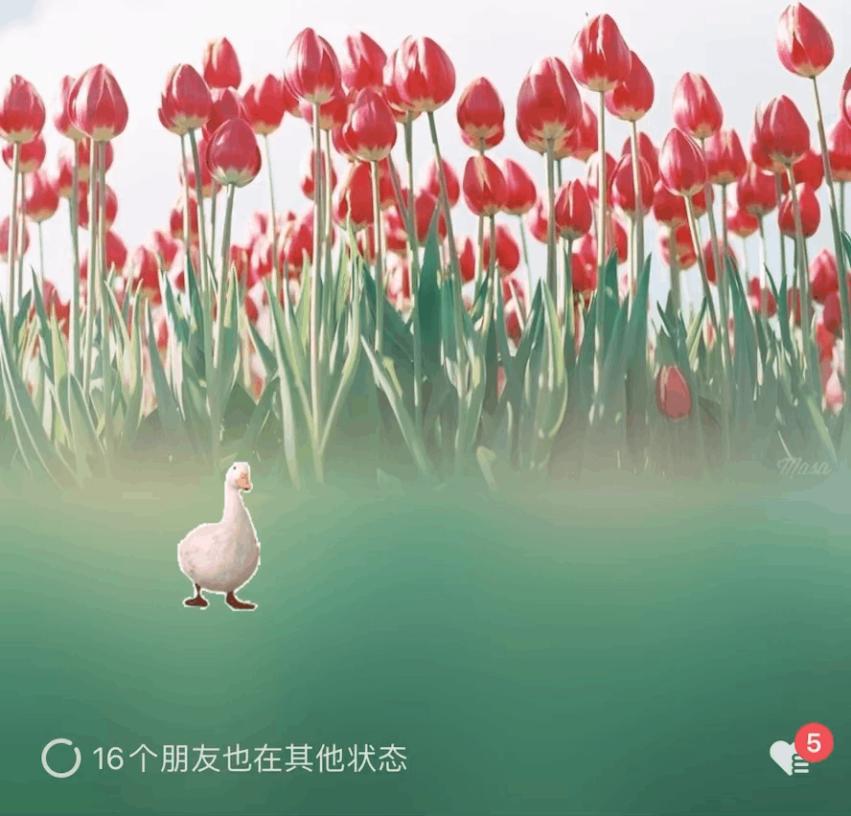 “微信农场”来了，年轻人会买账吗？