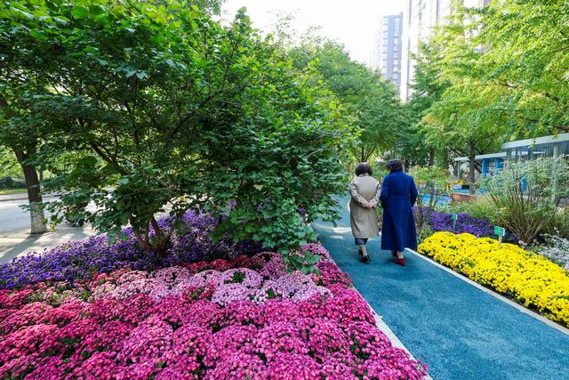 摇马_马6摇机匹配_马摇尾巴是什么意思