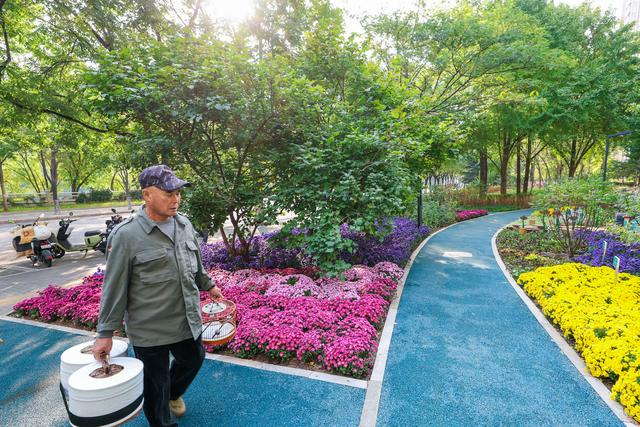 摇马_马摇尾巴是什么意思_马6摇机匹配