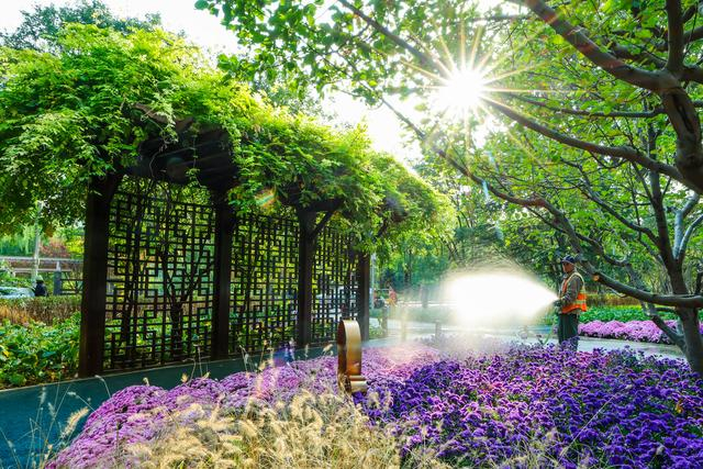 摇马_马6摇机匹配_马摇尾巴是什么意思