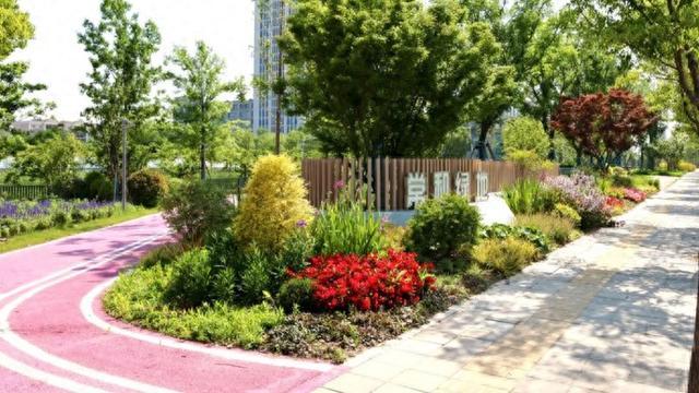 可观可玩！来桃浦这个3万平方米开放绿地，亲子时光一键解锁→