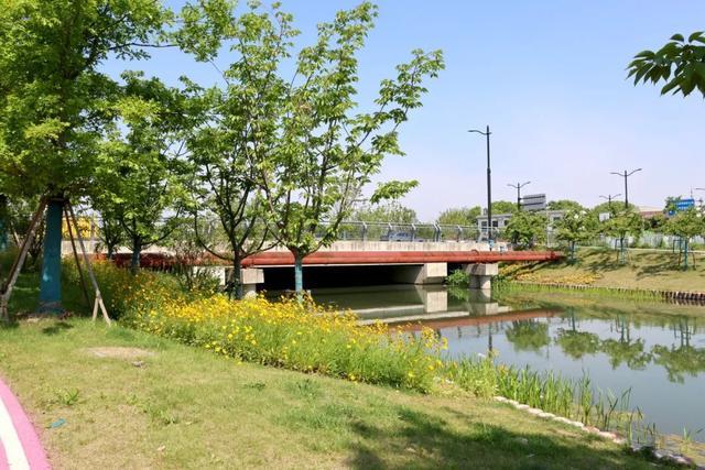 三霄娘娘摇钱叫马_494918摇钱网站马会开_摇马