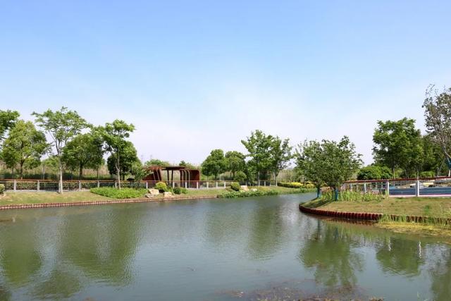 494918摇钱网站马会开_摇马_三霄娘娘摇钱叫马