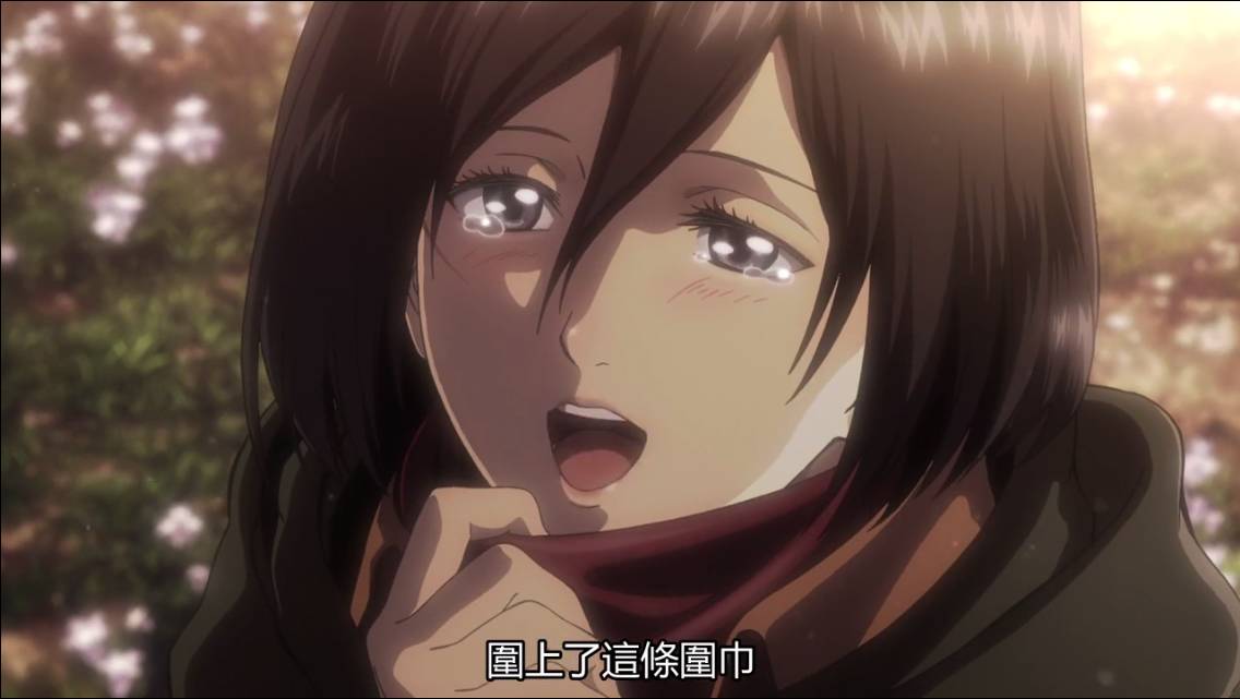 进击的萝莉_进击的巨人 三笠·阿克曼 青梅竹马