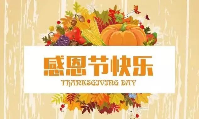 感恩节南瓜饼文化_感恩节传统活动_关于感恩节的图片