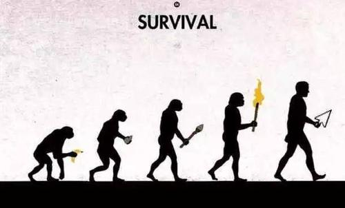 进化历史的证据