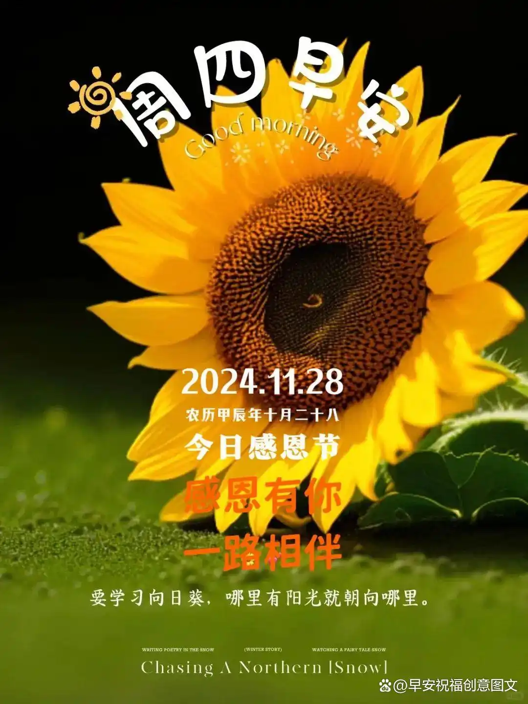 关于感恩节的图片_感恩阳光的温暖与普照_感恩大地的宽广与滋养